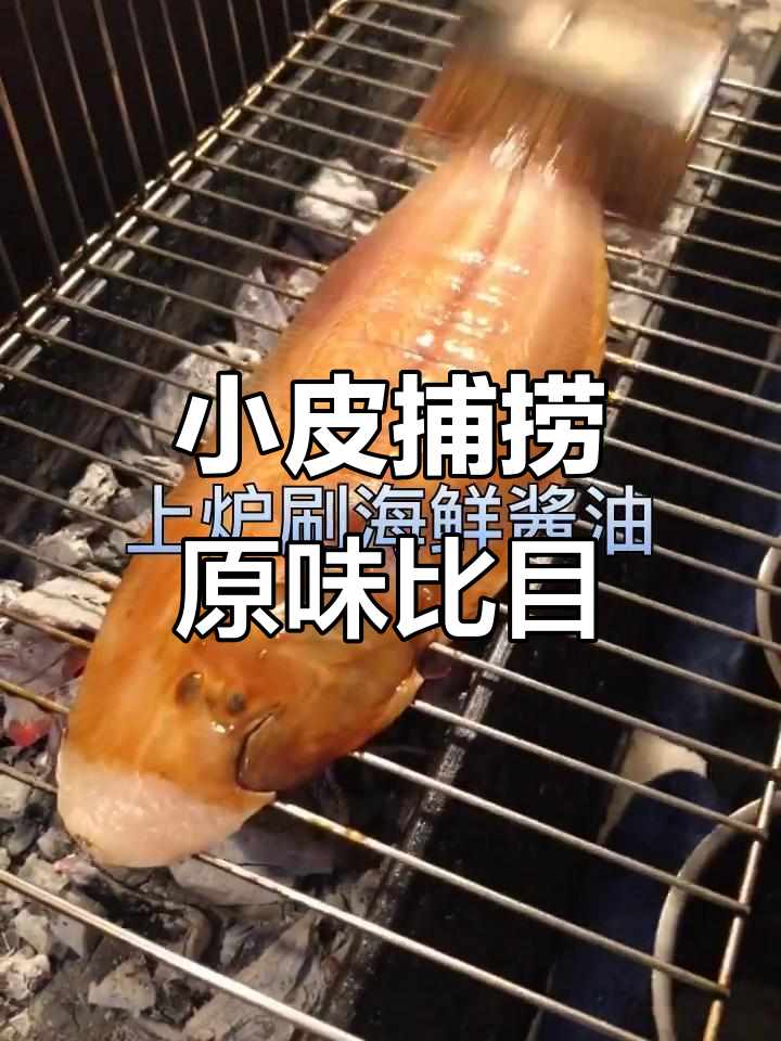 轻松捕捉比目鱼,小皮一下超开心