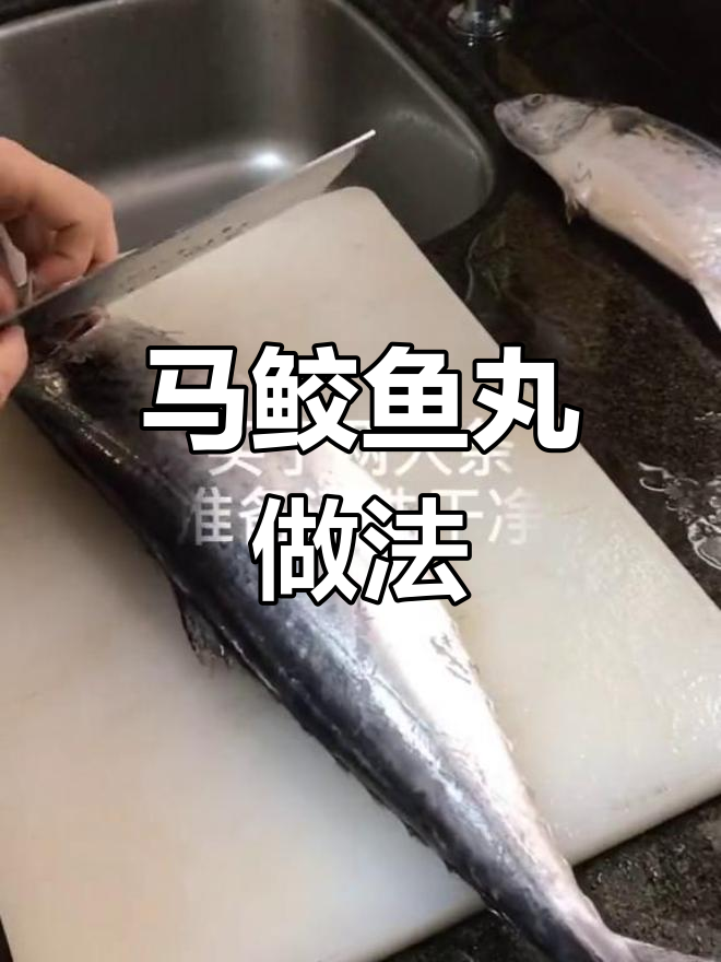 新鲜马鲛鱼丸制作教程