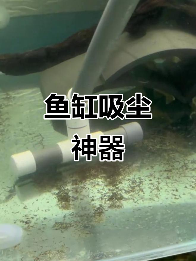 自制鱼缸吸尘器,清理粪便超轻松