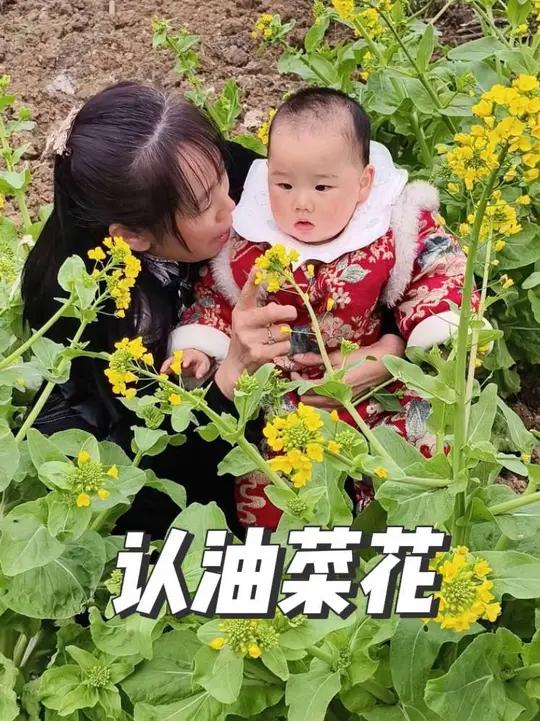 带辰辰看油菜花,这孩子还能采叶子呢!#带着孩子去田野 #有一种爱叫隔代亲 #创作者中心 #