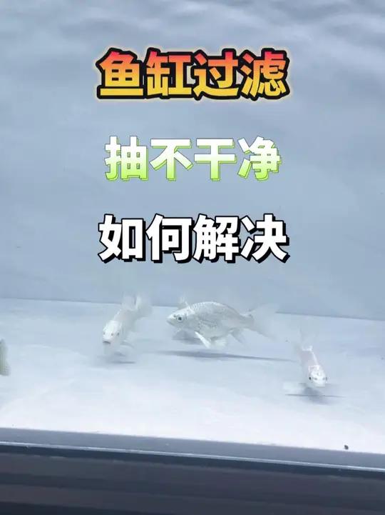 鱼缸过滤不干净并不一定是水泵大问题，先别急着换水泵