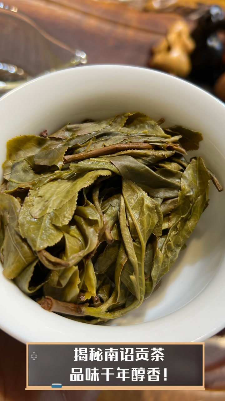 揭秘南诏贡茶，品味千年醇香！