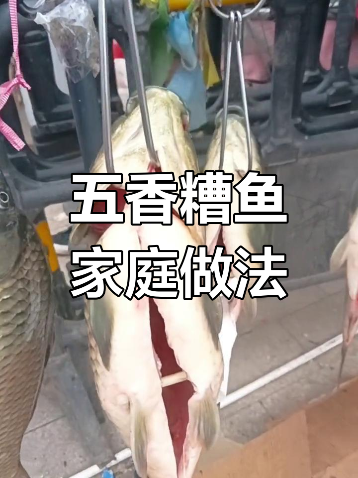 河南五香糟鱼制作秘籍,活鱼现杀保证新鲜美味