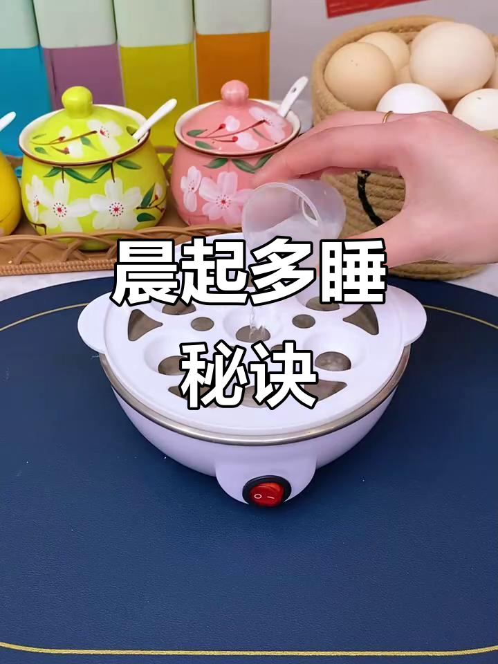 蒸蛋器省时又省力,早晨多睡半小时,太棒了!