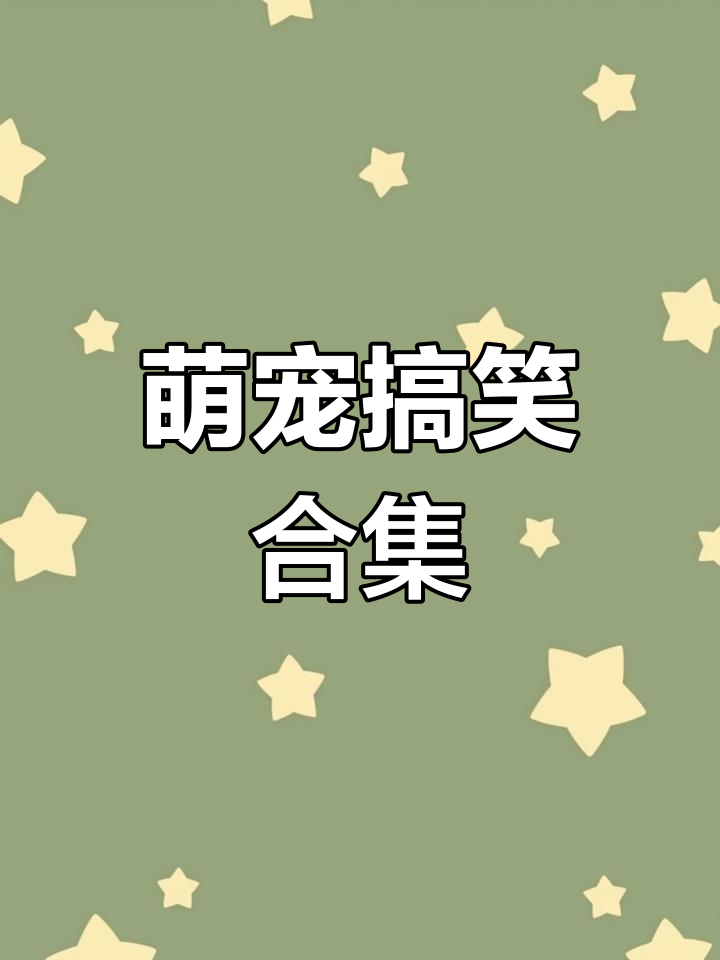 皮皮虾搞笑日常,笑到不行!