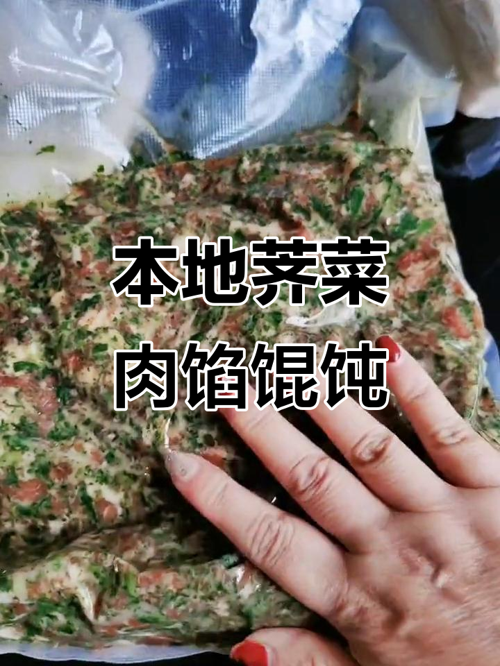 本地荠菜猪肉馄饨,鲜美无比!