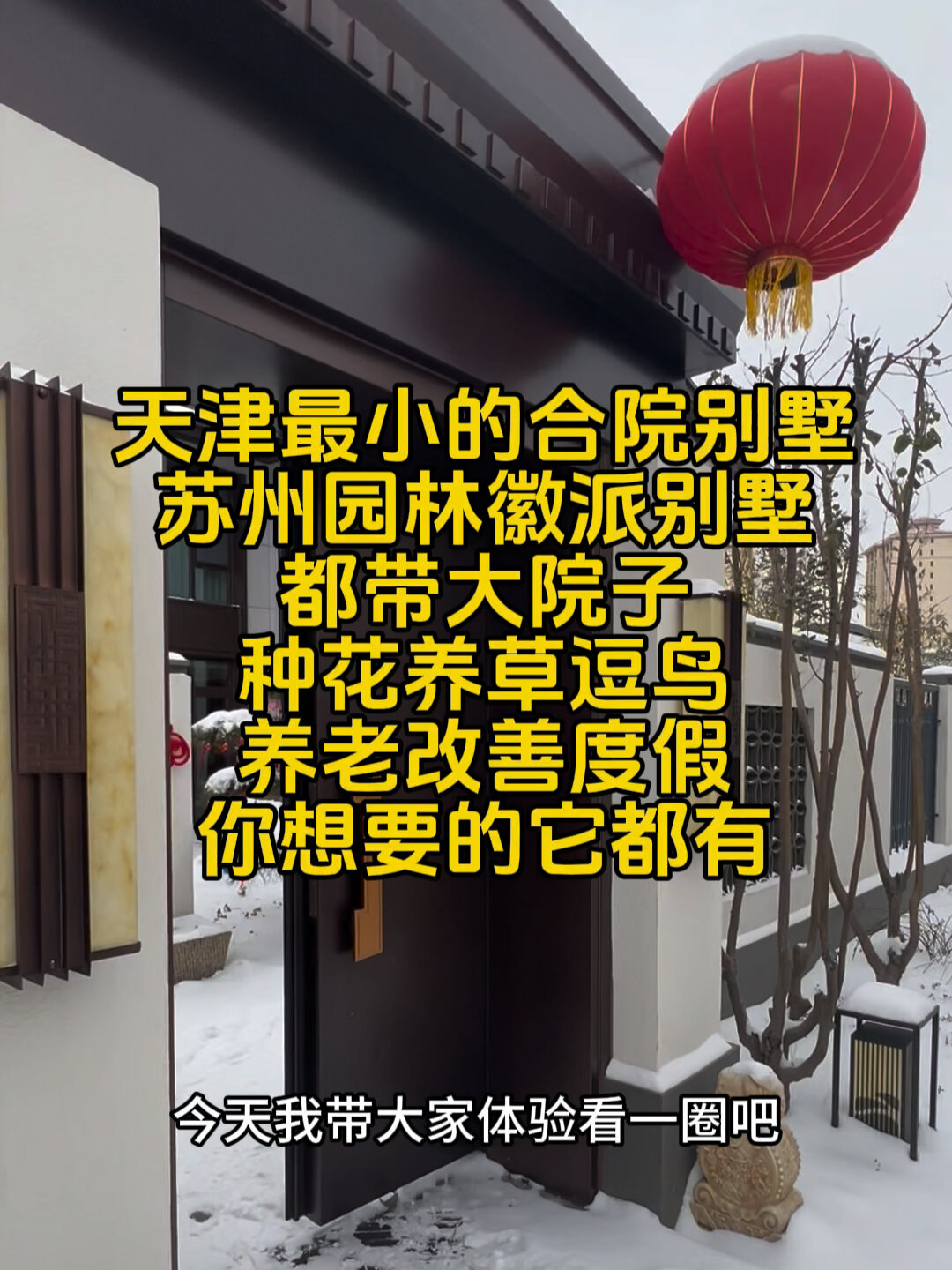 又一个天津之最 最小的别墅 100万一套真香