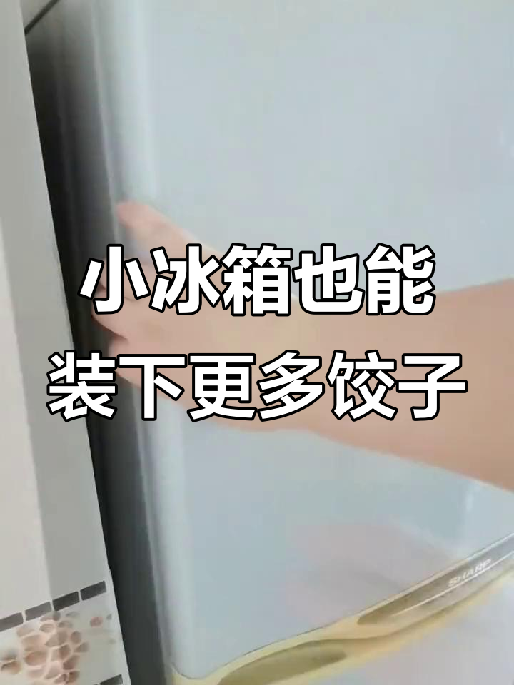 冰箱太小放不下饺子？试试这款收纳盒，轻松解决！