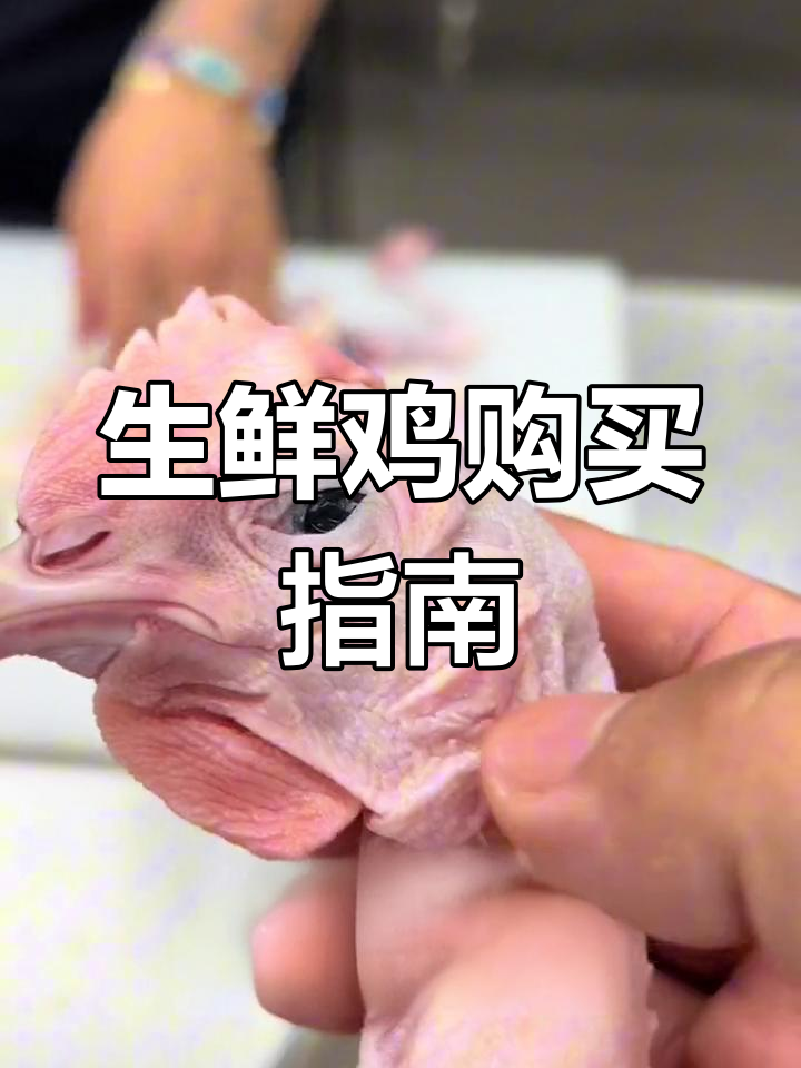 选购生鲜鸡,掌握小技巧,食品安全轻松搞定!