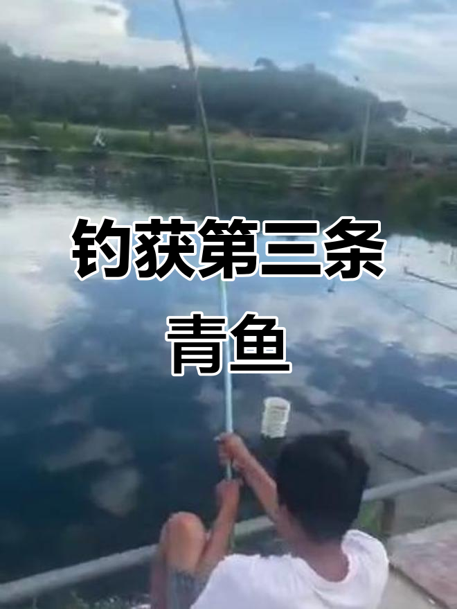 千岛湖钓鱼大作战,青鱼连连上钩!