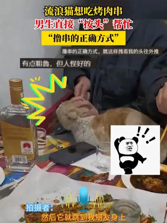 流浪猫想吃烤肉串,男生直接“按头”帮忙,“撸串的正确方式”