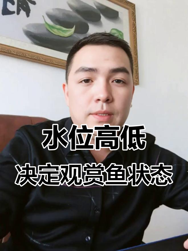 鱼缸水位过低，锦鲤无法正常游动