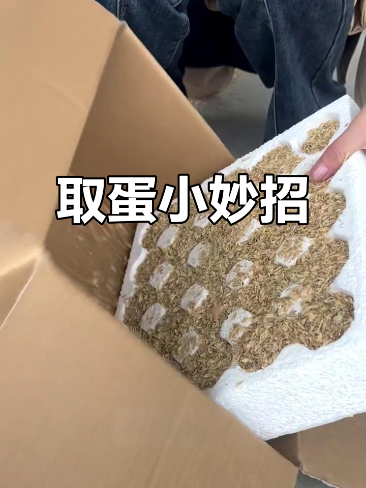 鸡蛋包装难拆?一招轻松解决,告别费力!