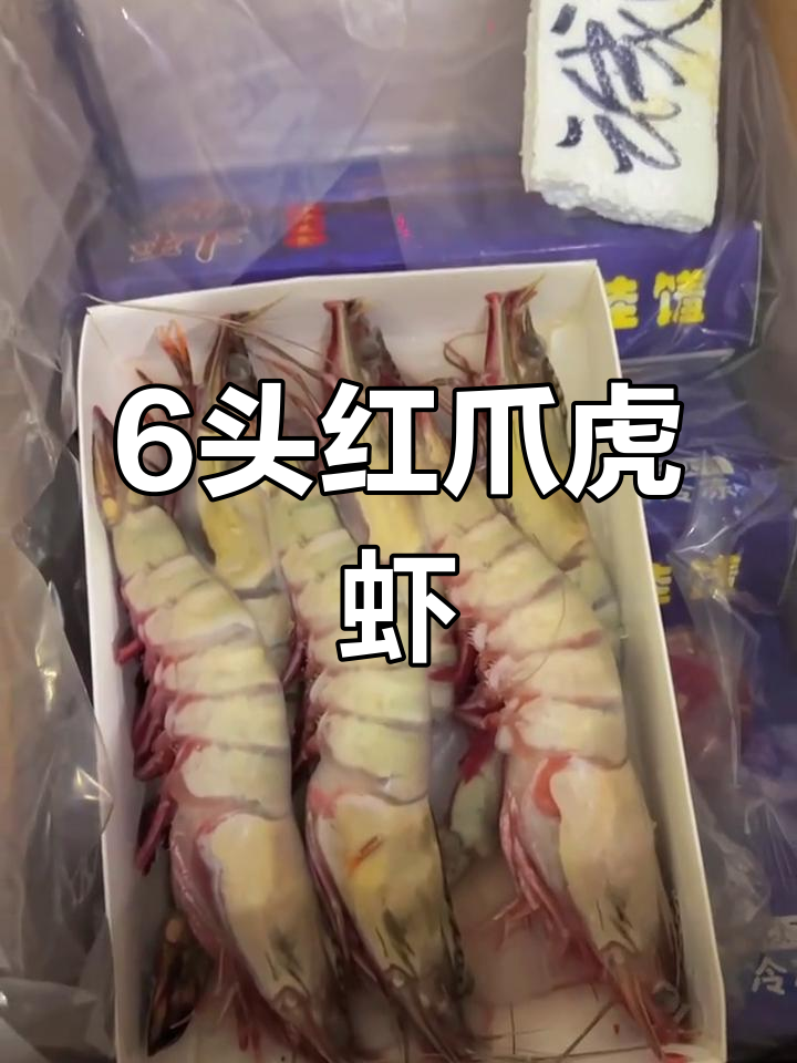 野生红爪虎虾大礼包,年夜饭必备海鲜