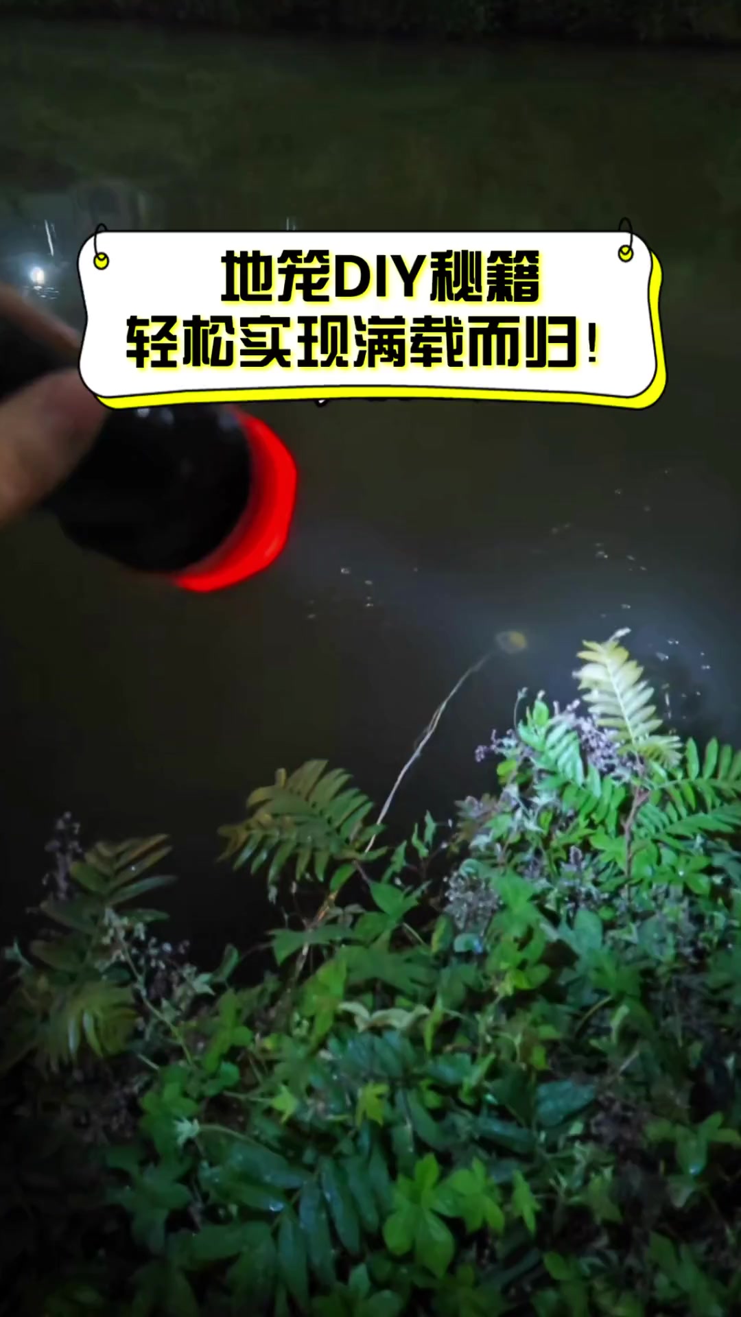 地笼DIY秘籍,轻松实现满载而归!