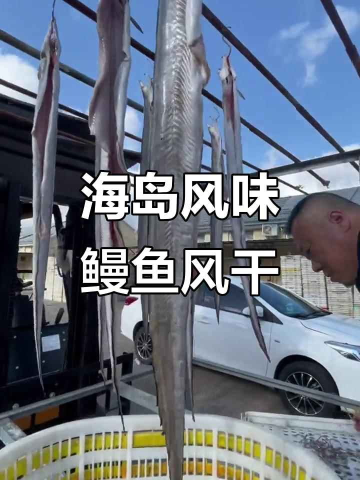 舟山海岛的鳗鱼美味,风干过程揭秘