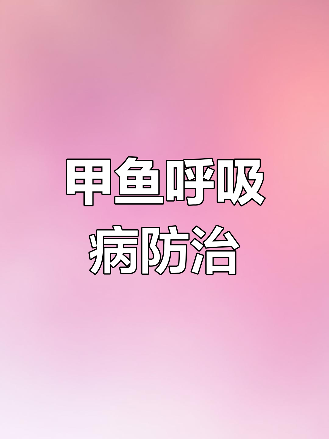 甲鱼呼吸道疾病治疗全攻略,三阶段应对技巧