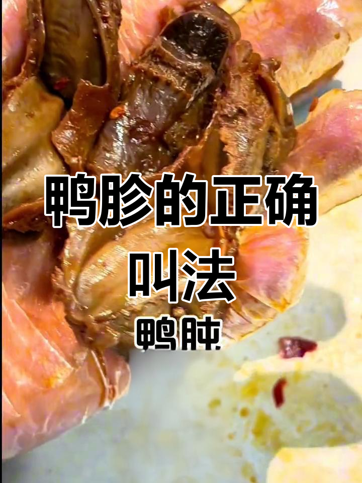 鸭胗是什么?教你正确读音