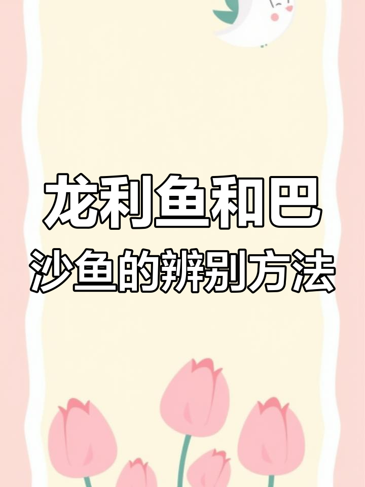 如何区分龙利鱼与巴沙鱼