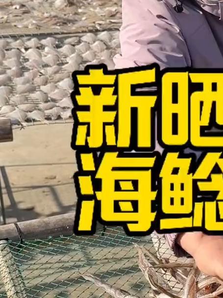 这季节在我们海边,正是吃鱼干的时候,海鲶鱼干是非常喜欢的一种