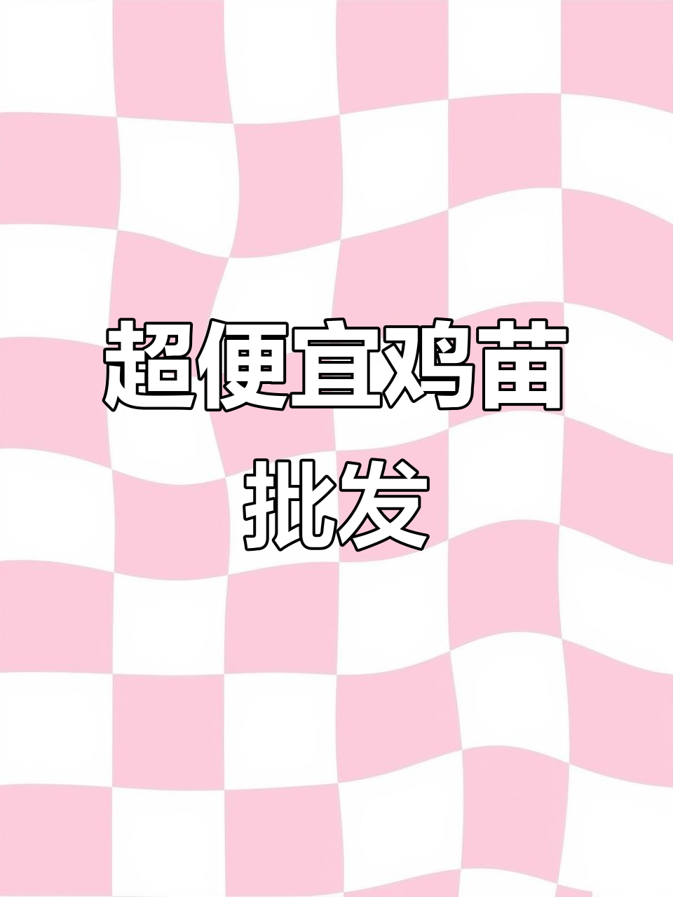 鸡苗价格大降,5毛一只超值批发!