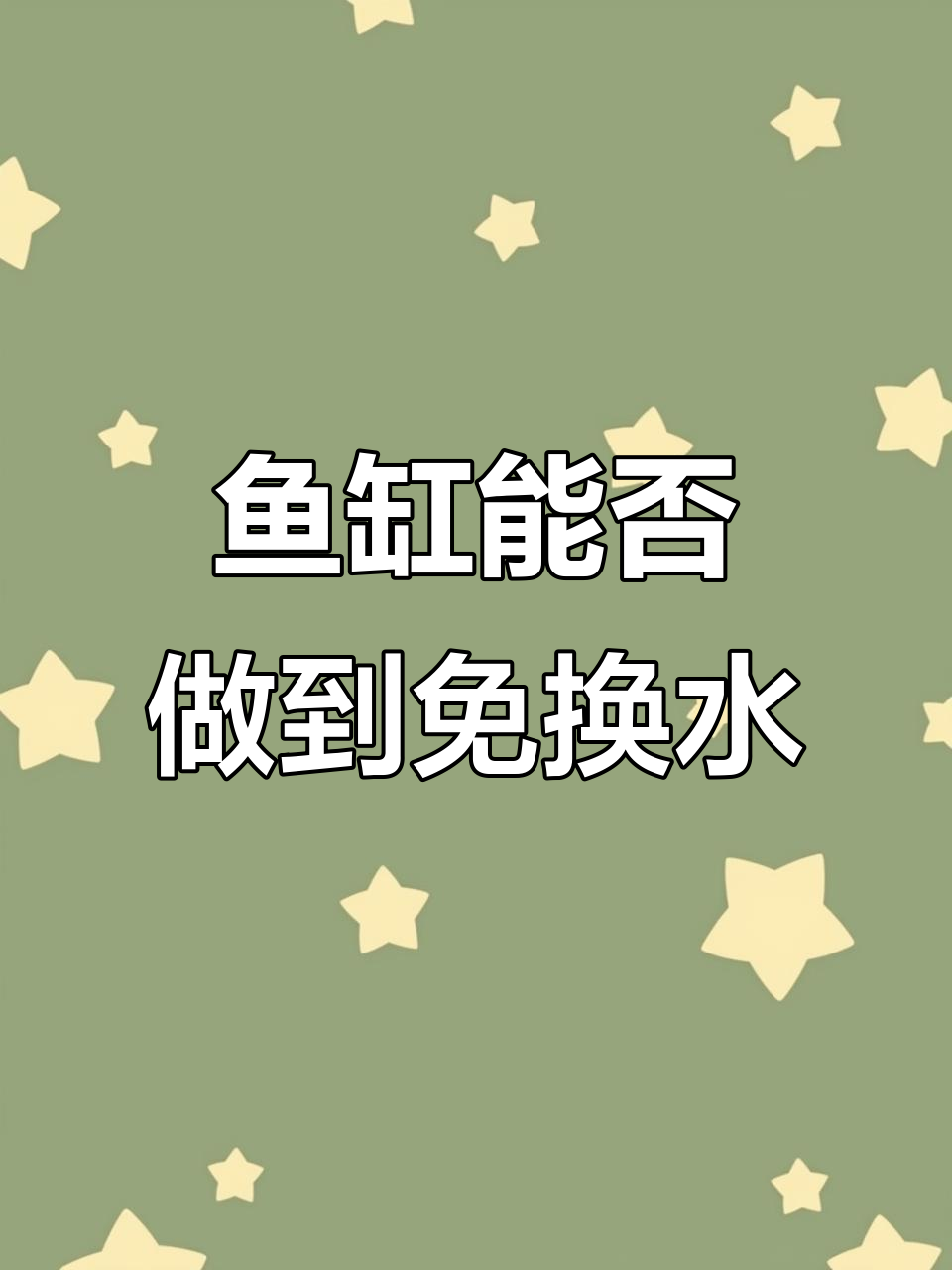 鱼缸免换水真的可能吗?过滤系统能解决所有问题吗