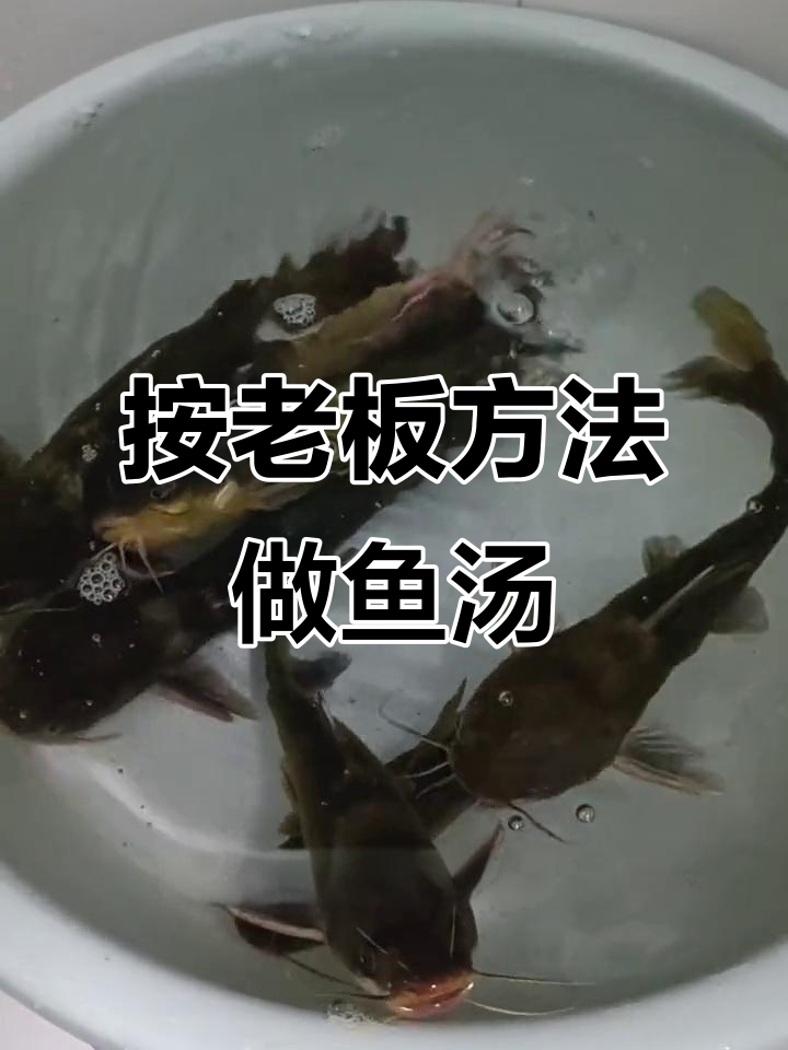 卖鱼老板教的小技巧,轻松做出鲜活美味鱼汤