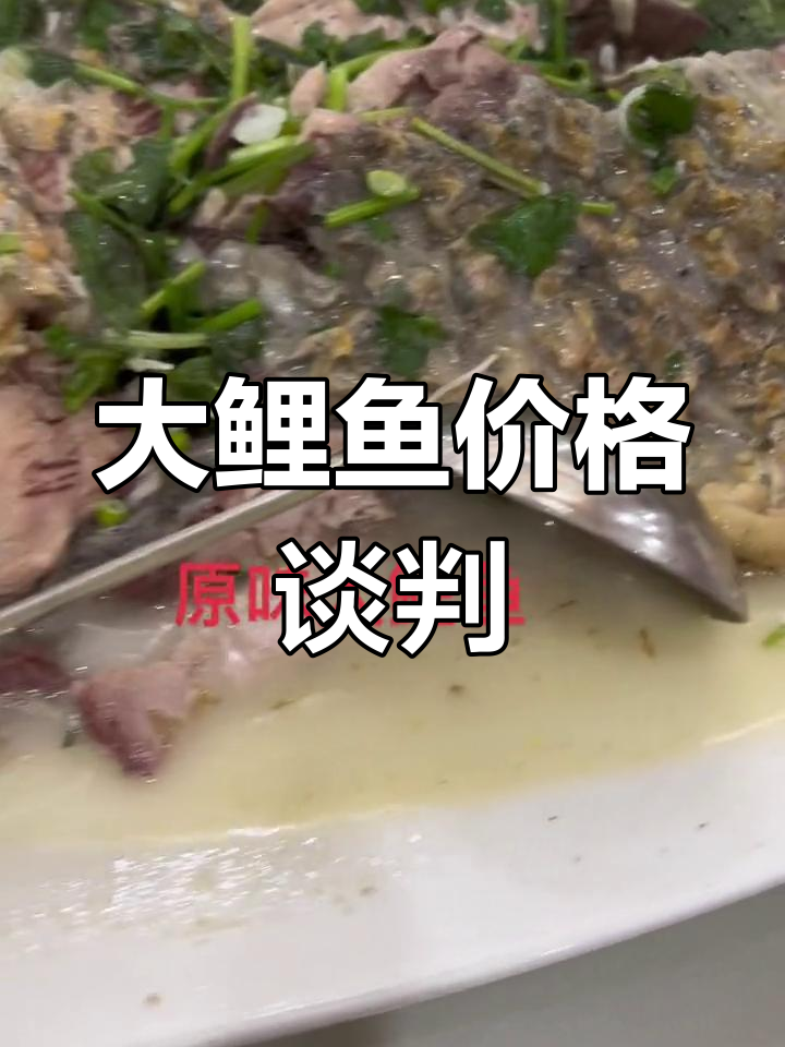20斤大鲤鱼,老板直接报价18万7!
