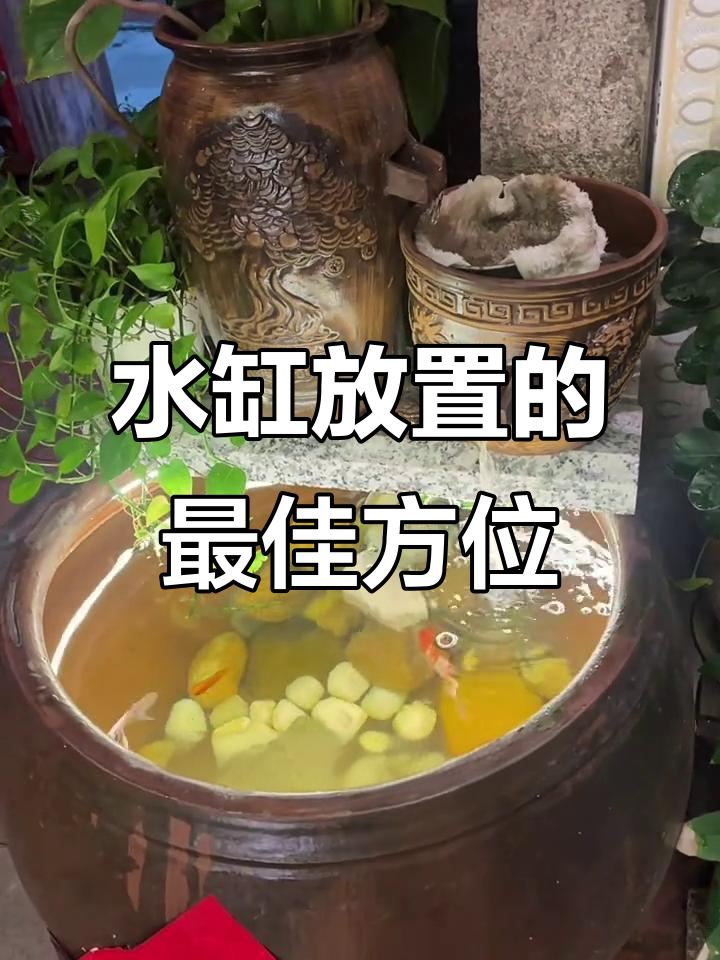 庭院鱼池如何摆放才能提升财运?这些位置最合适