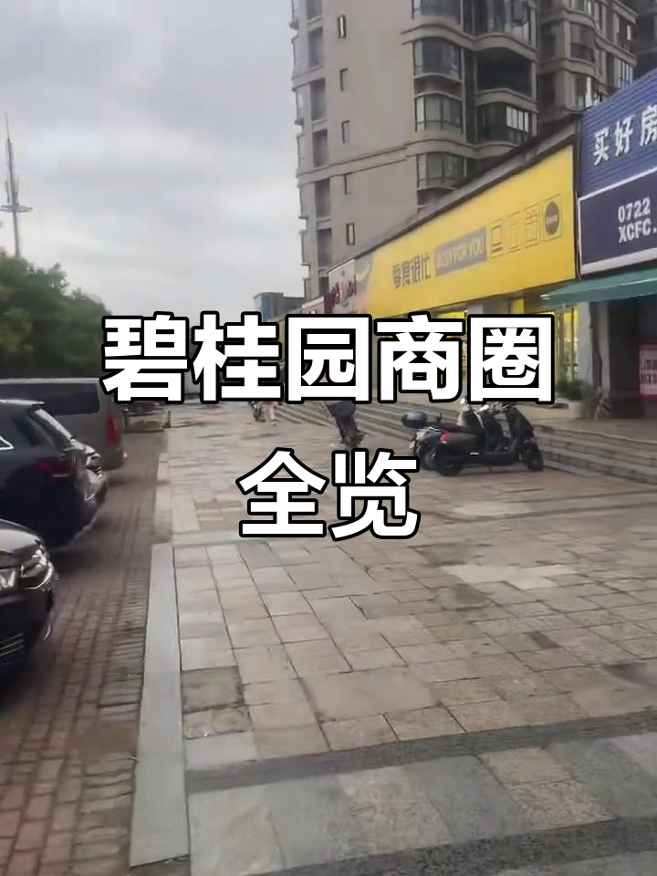 曾都区碧桂园周边商业生态揭秘:奶茶店、水果店一应俱全