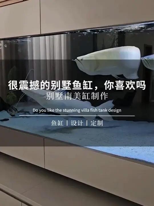 非常震撼的南美缸,这样的别墅鱼缸设计,你喜欢吗?别墅鱼缸 鱼缸定制 南美缸 大型鱼缸制作 