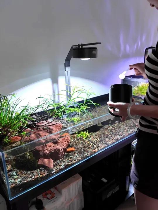 100×30×20溪流缸,都是些弃之可惜,食而无味的小鱼儿,不换水也很少换棉,状态还嘎嘎好