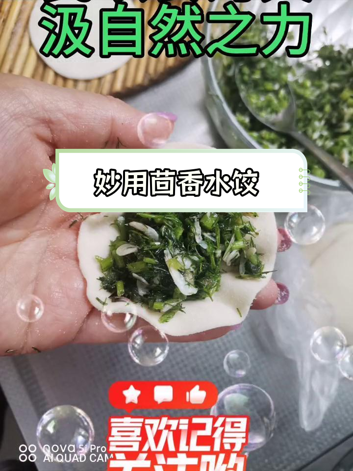 茴香虾皮水饺的做法