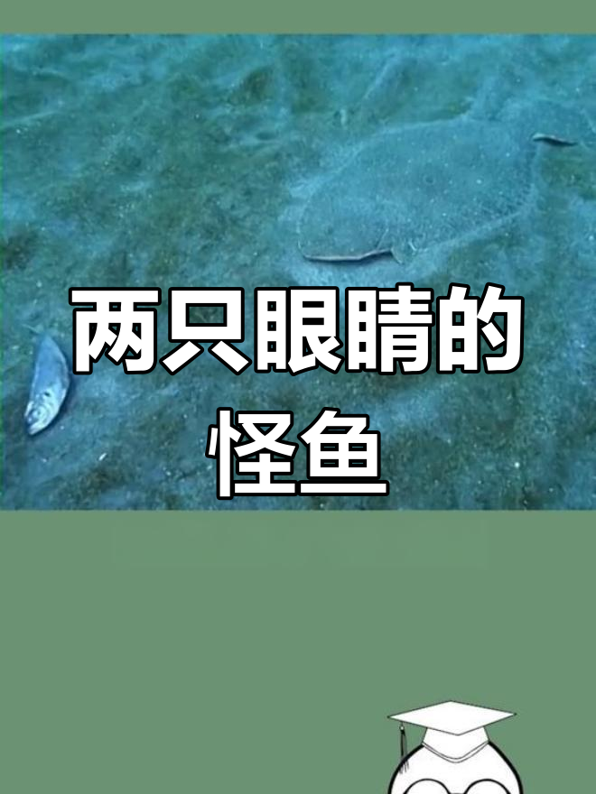 比目鱼的眼睛为何长在一起?