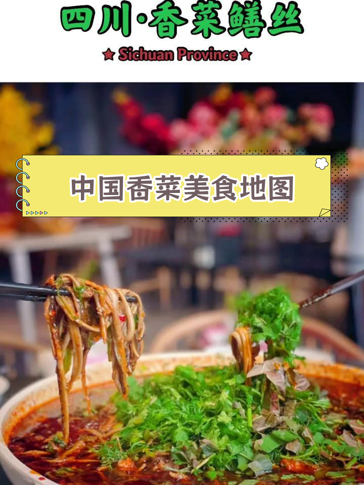 探索中国各地香菜美食,挑战最奇葩的!