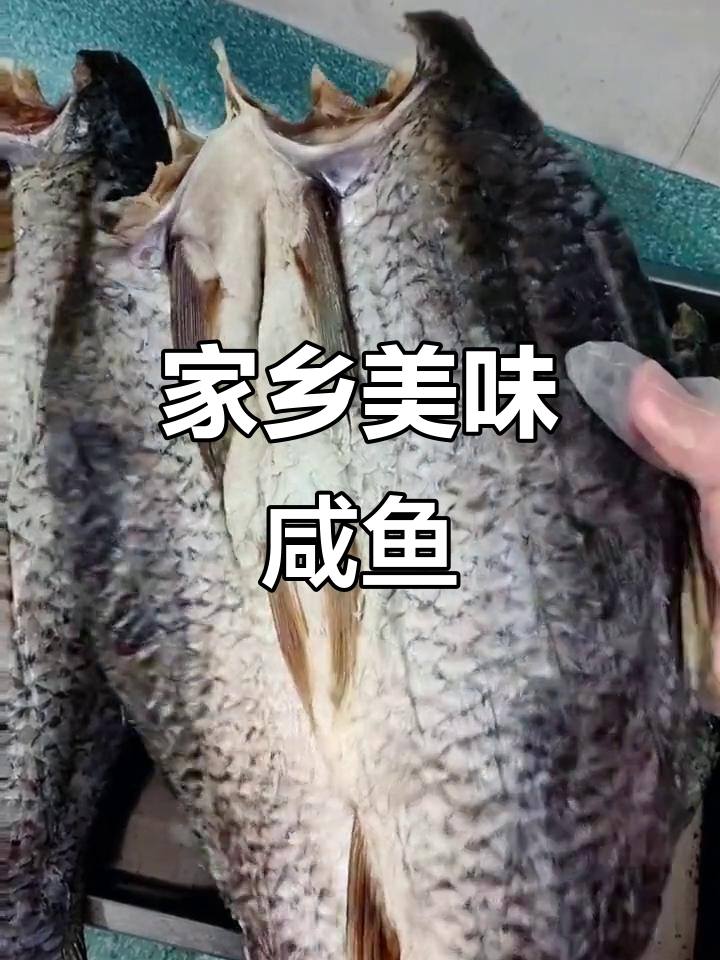 家乡青混子咸鱼,去头尾处理干净,蒸煮皆宜,香气扑鼻
