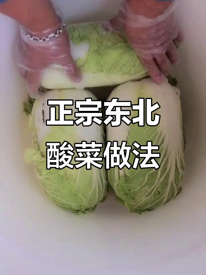 东北传统酸菜腌制技巧,简单步骤教你做正宗腌酸菜