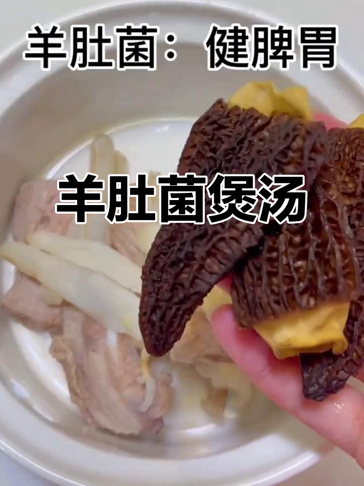 羊肚菌、沙虫干与元贝炖汤,滋补养生提高免疫力