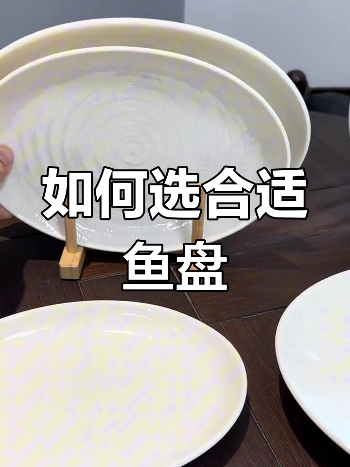 鱼盘尺寸选择指南:不同场合的实用推荐