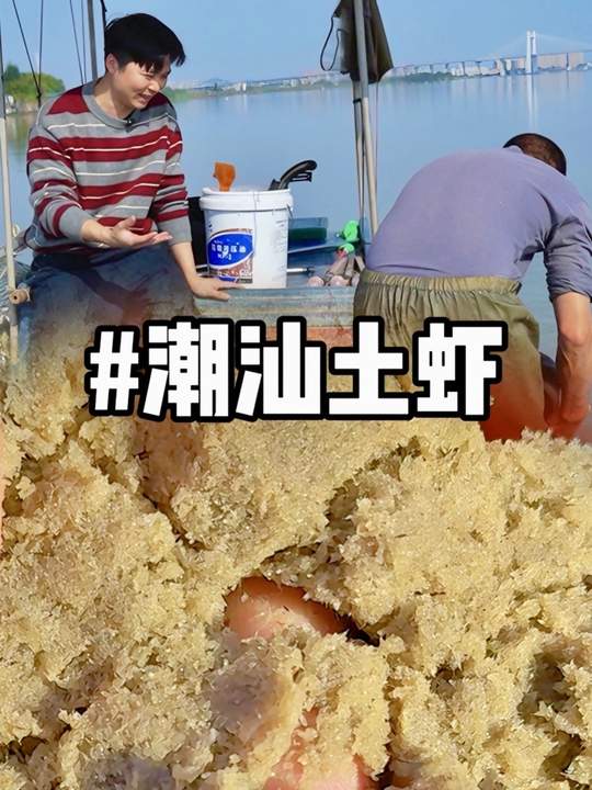 潮汕土虾不土，透明鲜活，煮熟红亮鲜甜的河鲜