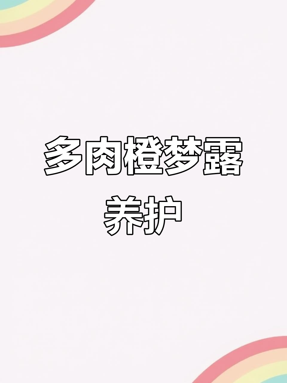 橙梦露多肉植物养护全攻略,移苗、配土技巧大揭秘