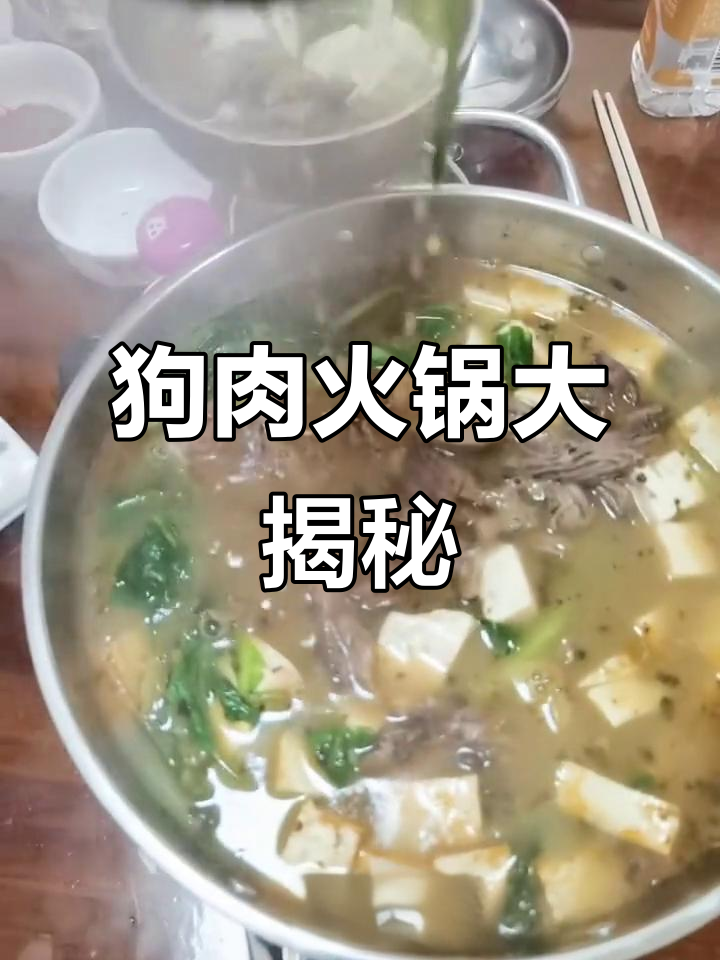 金海狗肉馆特色火锅,八小时熬制狗肉酱,带皮狗肉鲜香十足