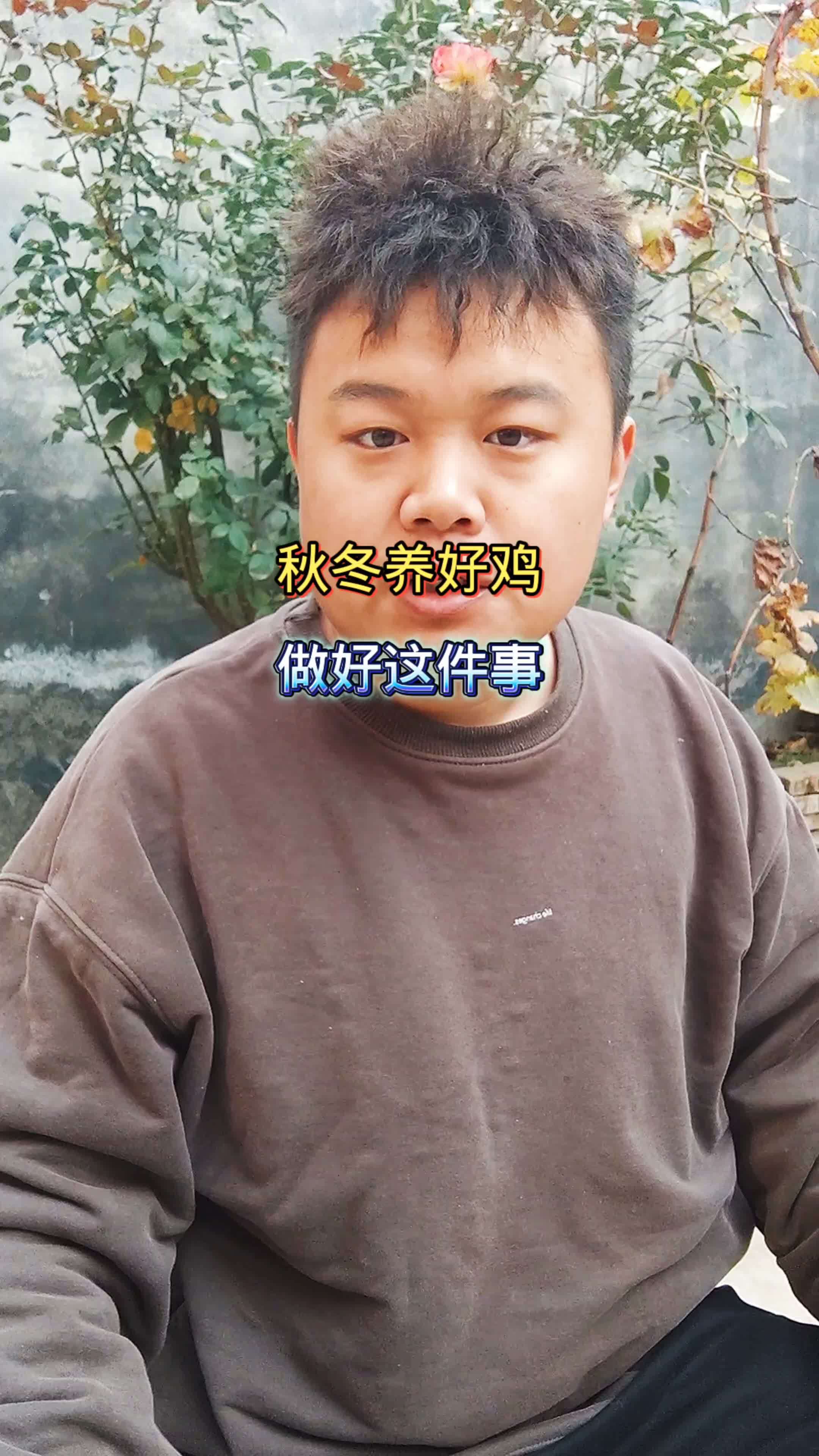 生态散养土鸡 养鸡人 新手养鸡 散养土鸡 养鸡技术