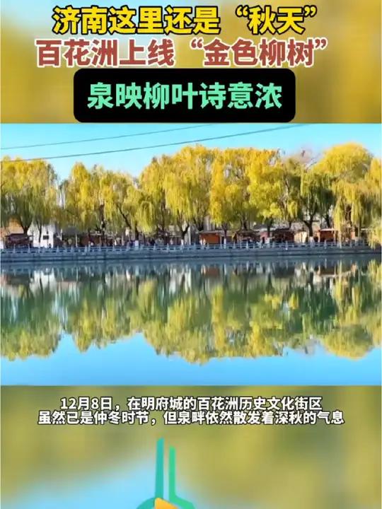 济南这里还是“秋天” 济南百花洲