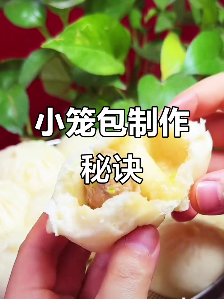 杭州小笼包秘籍,老面做法大公开!