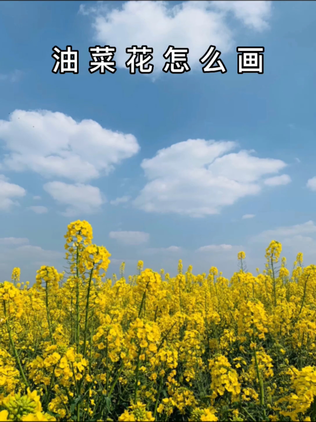丙烯风景/油菜花/教程
