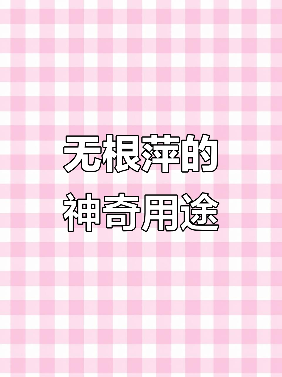 泰国无根萍竟能当蔬菜吃,营养丰富还能喂家禽