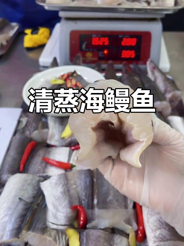 海鳗鱼清蒸做法,肉质细腻无刺,老人孩子都爱吃