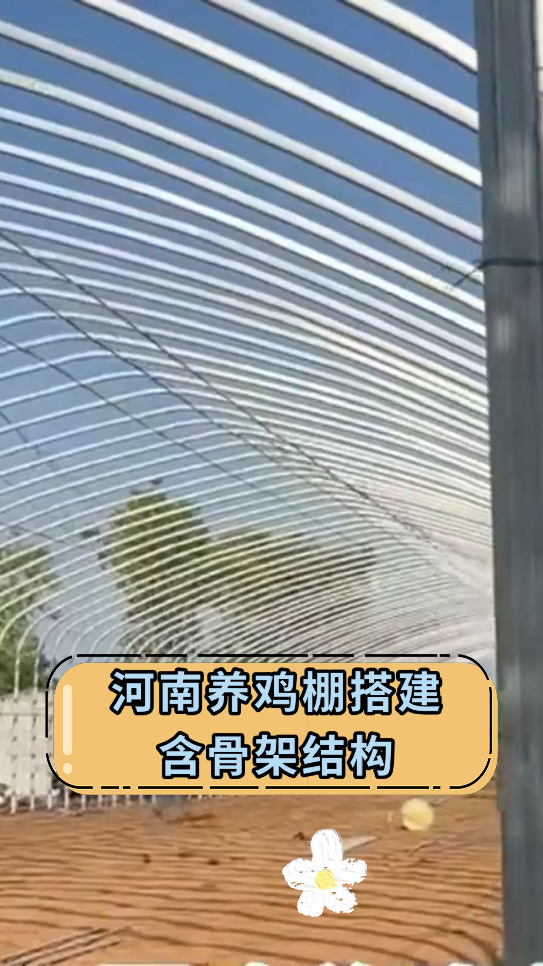 河南养鸡棚搭建含骨架结构