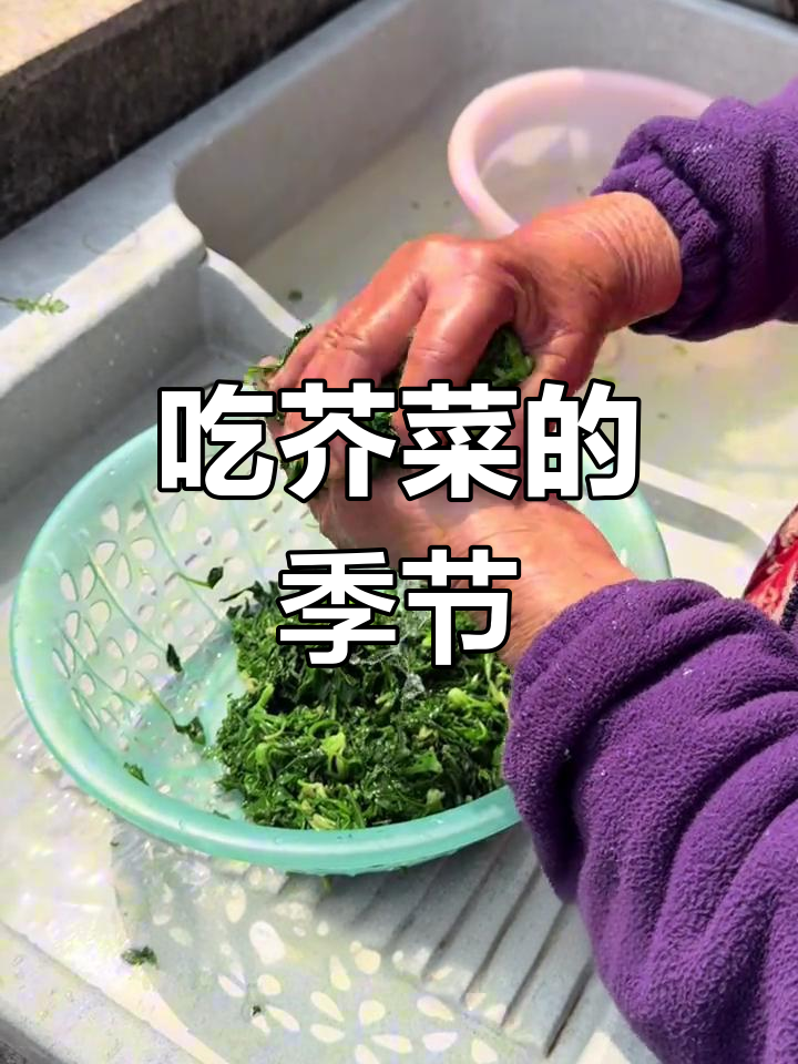 每年三四月,吃芥菜和马来头的季节到了!这种草居然能当菜?